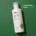 Plum Goodness Green Tea Toner