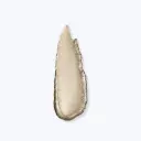 Mesauda Galactic Liquid Eyeshadow