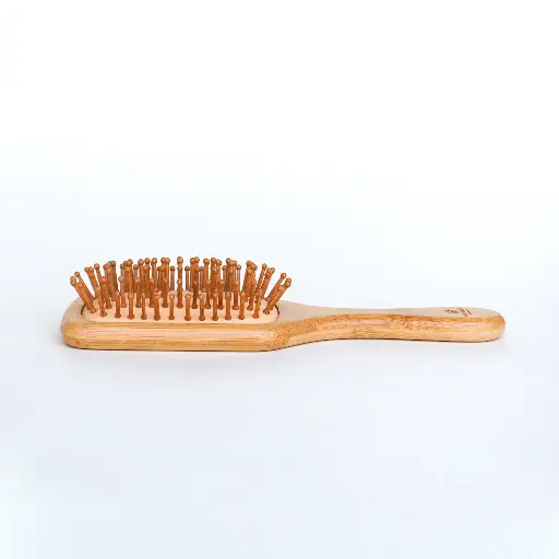 [E003] Eco Sathi Hair Brush Adult 